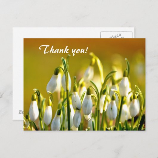 Carte Postale Snowdrops Merci (Devant / Derrière)