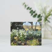 Carte Postale Snowdrops Under a Yew Tree - Personnalisé (Debout devant)