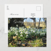 Carte Postale Snowdrops Under a Yew Tree - Personnalisé (Devant / Derrière)