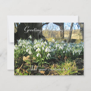 Carte Postale Snowdrops Under a Yew Tree - Personnalisé