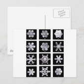 Carte Postale Snowflakes (Devant / Derrière)