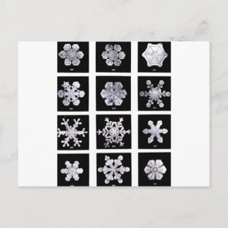 Carte Postale Snowflakes