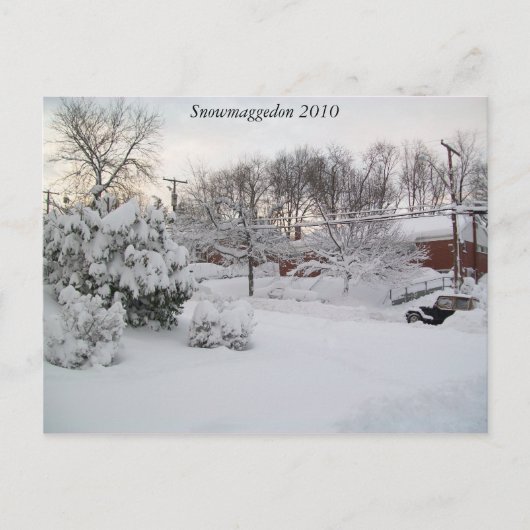 Carte Postale Snowmaggedon 2010 (Devant)