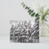 Carte Postale Snowscape noir et blanc, Conifer, CO (Debout devant)