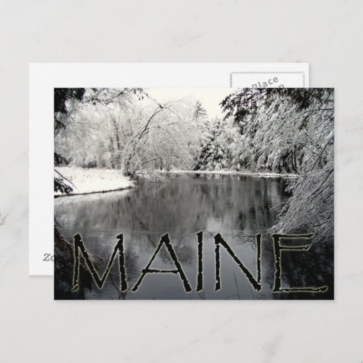 Carte Postale Snowy (Devant / Derrière)