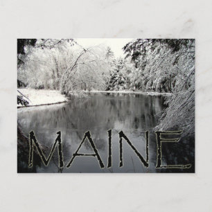 Carte Postale Snowy