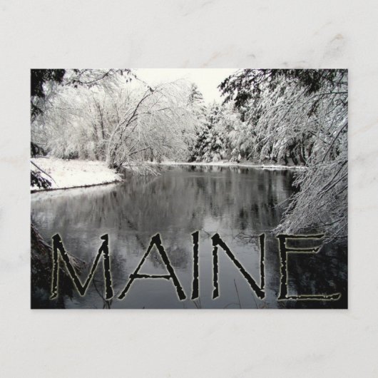 Carte Postale Snowy (Devant)