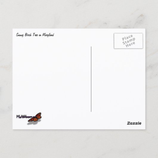 Carte Postale Snowy Birch Tree Canopy (Dos)