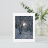 Carte Postale Snowy Forest Trail (Debout devant)