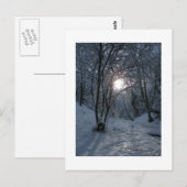 Carte Postale Snowy Forest Trail (Devant / Derrière)