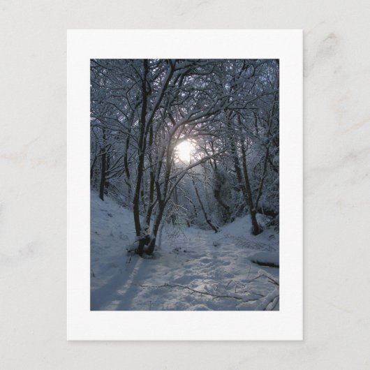 Carte Postale Snowy Forest Trail (Devant)