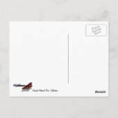 Carte Postale Snowy Granite Domes I au parc national Yosemite (Dos)