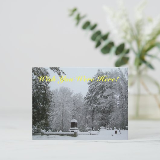 Carte Postale Snowy Graveyard (Debout devant)