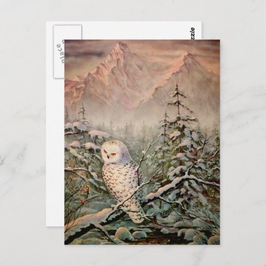Carte Postale SNOWY OWL par SHARON SHARPE (Devant / Derrière)