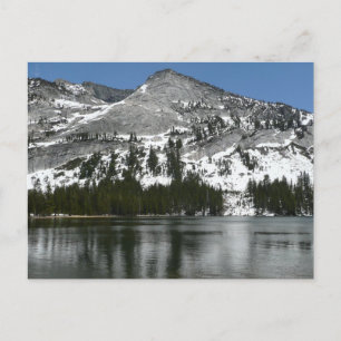 Carte Postale Snowy Tenaya Lake Yosemite National Park Photo