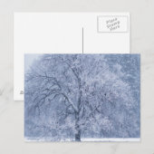Carte Postale Snowy Tree hiver Scene gelée (Devant / Derrière)