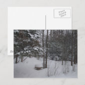 Carte Postale Snowy Winter Day (Devant / Derrière)