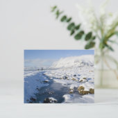 Carte Postale Snowy Winterland (Debout devant)