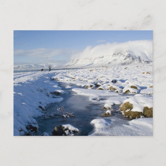 Carte Postale Snowy Winterland (Devant)