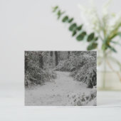 Carte Postale Snowy Woods (Debout devant)