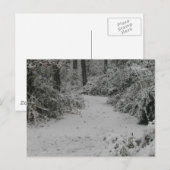 Carte Postale Snowy Woods (Devant / Derrière)