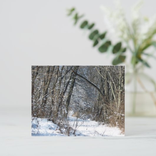 Carte Postale Snowy Woods Postcard (Debout devant)