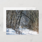 Carte Postale Snowy Woods Postcard (Devant / Derrière)