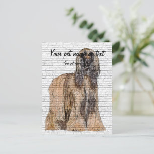 Carte Postale So beautiful, Afghan Hound Dog