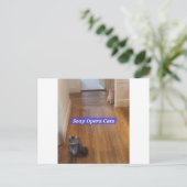 Carte postale Soap Opera Cats (Debout devant)