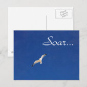 Carte Postale Soar (Devant / Derrière)