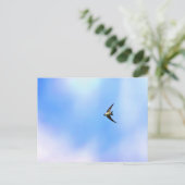 Carte Postale Soar (Debout devant)