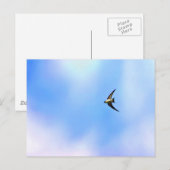 Carte Postale Soar (Devant / Derrière)