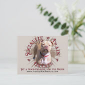 Carte Postale Socialiser former Pitbull (Debout devant)
