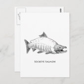 Carte Postale Sockeye Saumon Line Art (Devant / Derrière)
