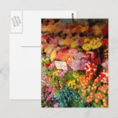 Carte Postale Socle à fleurs (Devant / Derrière)