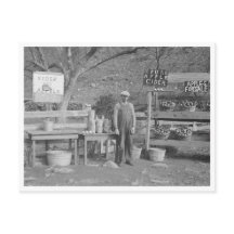 socle cidre et pomme