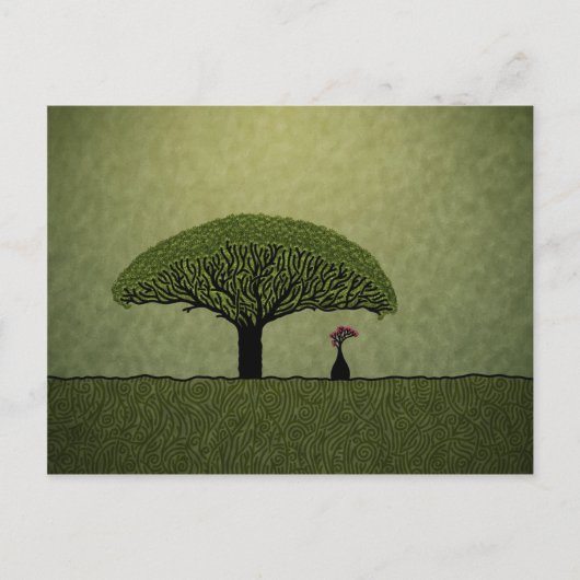 Carte Postale Socotra (Devant)