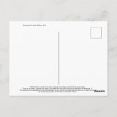 Carte postale Soda Dam (Dos)