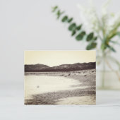 Carte Postale Soda Lake Carrizo Plain Californie (Debout devant)