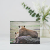 Carte Postale Sœurs de la savane (Debout devant)