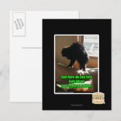 Carte Postale Sofa Bison (Devant / Derrière)