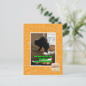 Carte Postale Sofa Bison (Debout devant)