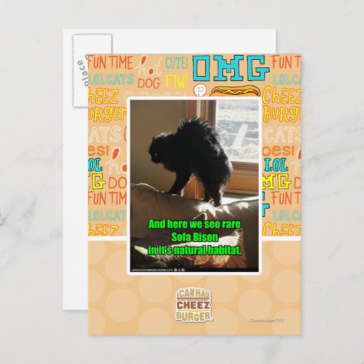 Carte Postale Sofa Bison (Devant / Derrière)