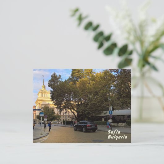 Carte Postale Sofia (Debout devant)