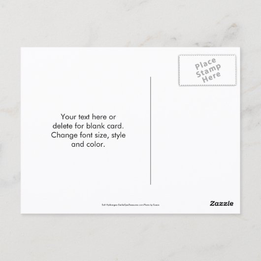 Carte Postale Soft Blue Hydrangea Flower Photography  (Dos)