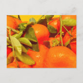 Carte Postale Soft Orange Fruit Aesthétique (Devant)
