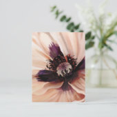 Carte Postale Soft Pink Poppy (Debout devant)