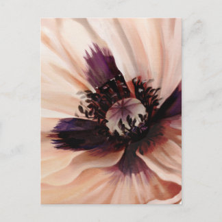Carte Postale Soft Pink Poppy