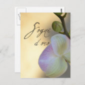 Carte Postale Sogni D'oro (doux rêves) Orchidée (Devant / Derrière)