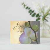 Carte Postale Sogni D'oro (doux rêves) Orchidée (Debout devant)